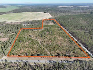441 NE Mango Ave, Lee, FL 32059
