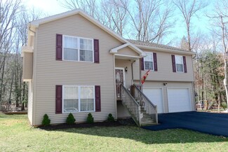 99 Bunyon Springs Ct, Drums, PA 18222