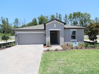 Baja, Hudson, FL 34669