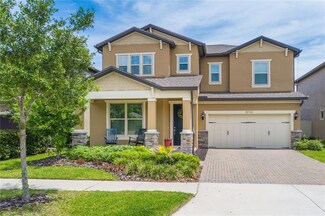 18740 Birchwood Groves Dr, Lutz, FL 33558