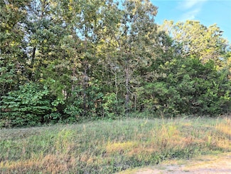 0 E Sumac Dr Unit 1321444, Diamond City, AR 72644