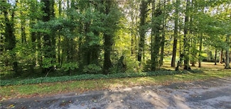 0 Troxaway Ct, Lewisville, NC 27023