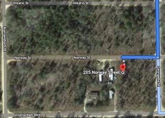 205 Norway St, Interlachen, FL 32148