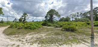 1712 Meadow Rd, Lehigh Acres, FL 33976
