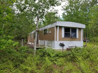 12578 S Oak Ave, Grant, MI 49327