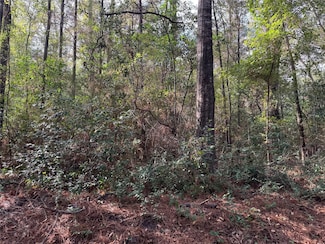 0 Lakeshore Dr, Logansport, LA 71049