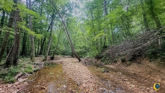 0 Birdsong Rd, Camden, TN 38320