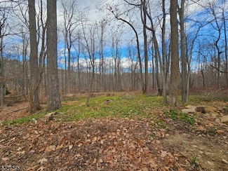 34 Starlight Dr, Morristown, NJ 07960