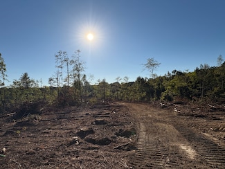 Lane Rd, Grenada, MS 38901