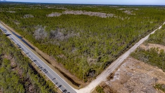 0 Vacant Blue Creek Rd, Hosford, FL 32334