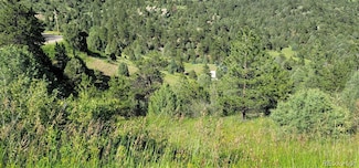 2050 Coyote Spur Unit 18, Golden Gate Canyon, CO 80403