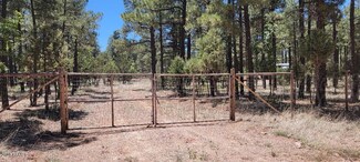 2778 Canyon Ridge Rd, Overgaard, AZ 85933