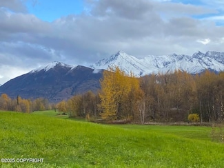 4055 N Christiansen Ln, Palmer, AK 99645