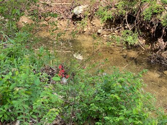 000 Moonlight Rd Unit 155 Acres, Mammoth Spring, AR 72554