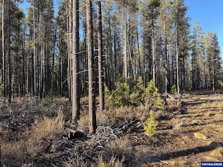 L 7 Artesian Dr, Chiloquin, OR 97624