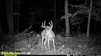 0 Peterson Rd, Gleason, WI 54435