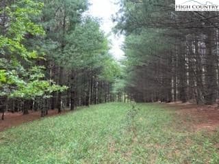 TBD Fox Ridge Rd, Glade Valley, NC 28627