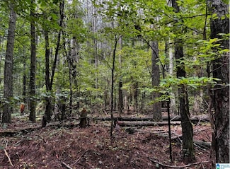 3550 Morgans Run Pkwy, Bessemer, AL 35022