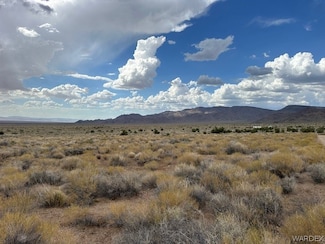 312-21-003 312-21-003, Hackberry, AZ 86411