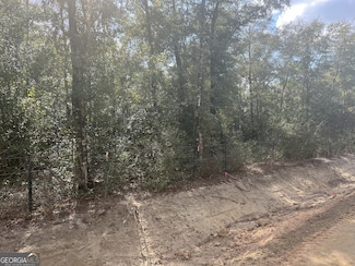 837 Bluff Rd, Jesup, GA 31545