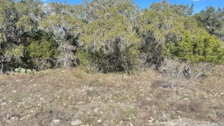 102 S John Bird, Blanco, TX 78606