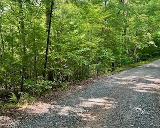 0 Hillbilly Holler Unit 7429512, Blue Ridge, GA 30513