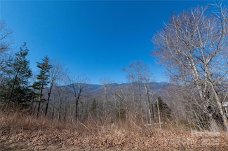 000 Mt Mitchell Dr, Burnsville, NC 28714