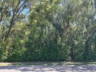 0 King Ave, Zellwood, FL 32798