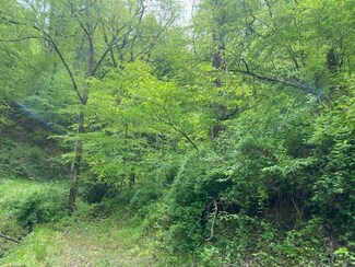 217 Mill Branch (Db 476-Dp 262), Paintsville, KY 41240