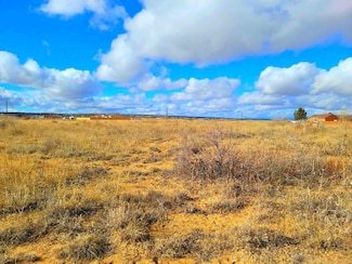 878 E Loma Dr, Pueblo West, CO 81007