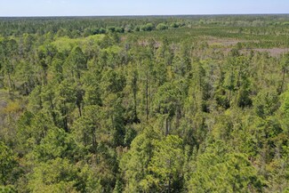 0 W Boundary Rd Unit 22623173, Perry, FL 32347