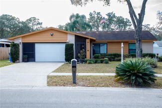 2706 Bryan Manor Dr, Brandon, FL 33511