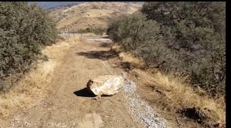 0 E Sierra Hwy Unit PW25117899, Acton, CA 93510
