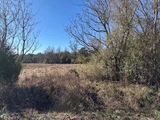 1511 Charleston Hwy, Harleyville, SC 29448