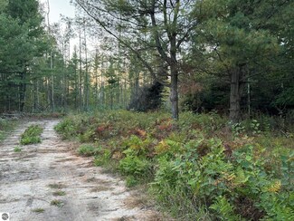 VL S McGee Rd, Reeder Township, MI 49651