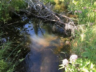 0 W Cherry Creek Rd Unit 33.64 acres, Mio, MI 48647