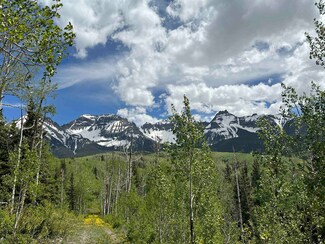 TBD County Road 5 Unit Tract 13, Ridgway, CO 81432