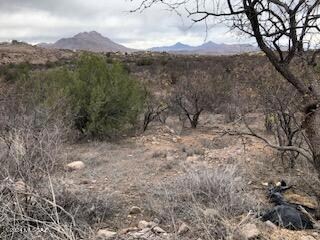 127&129 Circulo Botas Unit 70, Rio Rico, AZ 85648