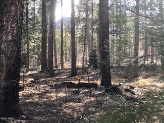 3 Cr 2073, Alpine, AZ 85920
