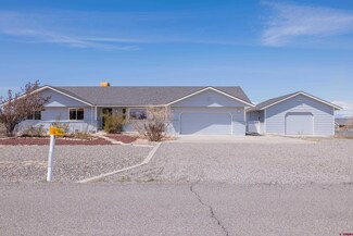 62815 Jeremy Rd, Montrose, CO 81401