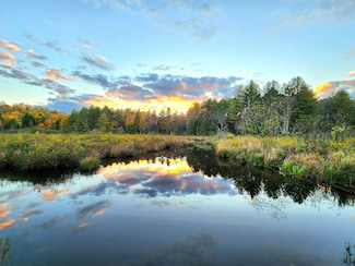 13331 Henry Rd, Natural Bridge, NY 13665