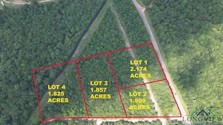 TBD Lot 2 Cactus Rd, Pittsburg, TX 75686