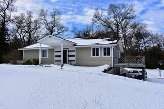 11333 Nichols Rd, Holton, MI 49425