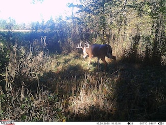 N 350th St, Clark, IL 62474