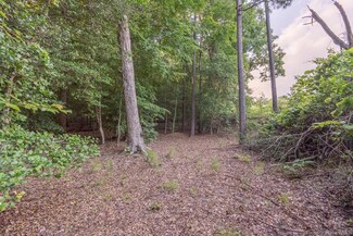 2.71 AC George Wash Memorial Hwy, Gloucester, VA 23072