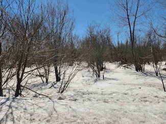 TBD39 E 162ft Millionaire St, Osceola Township, MI 49913
