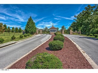 1101 Mountain Vista Pvt Dr, Bristol, TN 37620