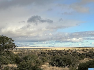 TBD Running Iron Ridge Unit Lot 11, Silver City, NM 88061