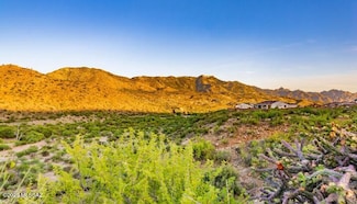 0000 No Physical Address, Saddlebrooke, AZ 85739