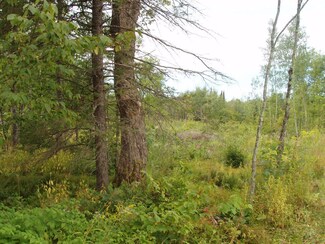 17358 Right of Way Rd Unit 80 Acres, Glidden, WI 54527